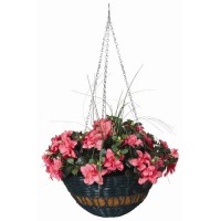 DMC All Weather Resin Hanging Planter   